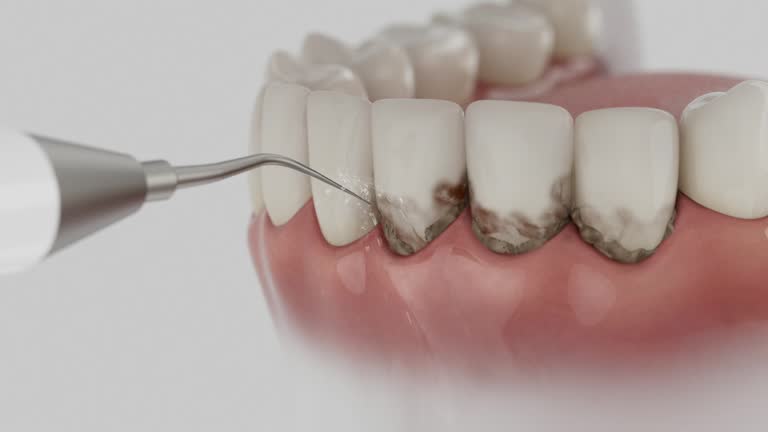 Reliable Dental contractor in Dalton Gardens, ID by Dentist Open Now
